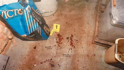 paul murdaugh autopsy photos|Murdaugh Murders: Crime Scene Photos Shown in Court